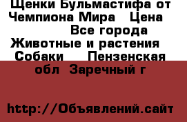 Щенки Бульмастифа от Чемпиона Мира › Цена ­ 1 000 - Все города Животные и растения » Собаки   . Пензенская обл.,Заречный г.